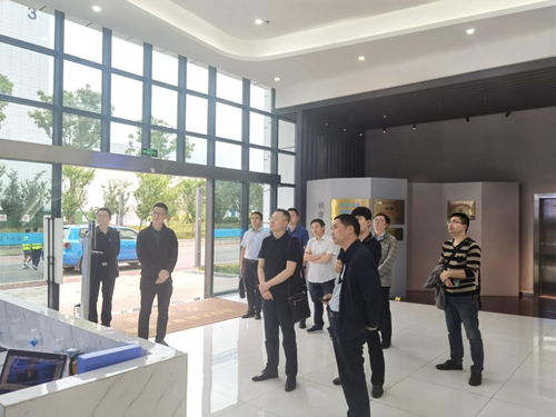 中国国际工程咨询刘立民副处长一行调研 雅安大数据产业发展