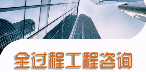 关于全过程工程咨询的观点探讨