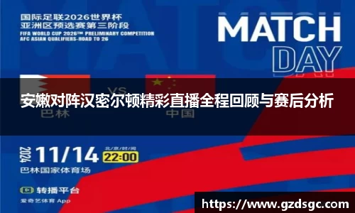 安嫩对阵汉密尔顿精彩直播全程回顾与赛后分析