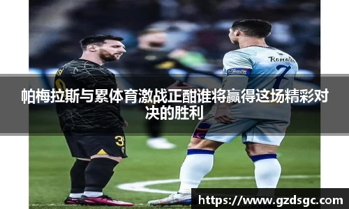 帕梅拉斯与累体育激战正酣谁将赢得这场精彩对决的胜利